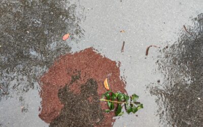 Foto_Schweigeseminar